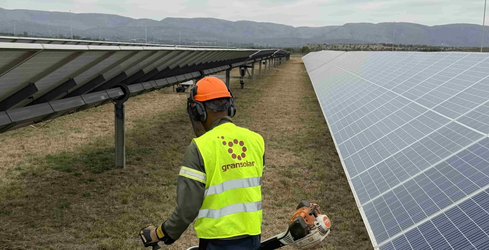 De Wildt solar PV plant, part of the Solar O&M portfolio