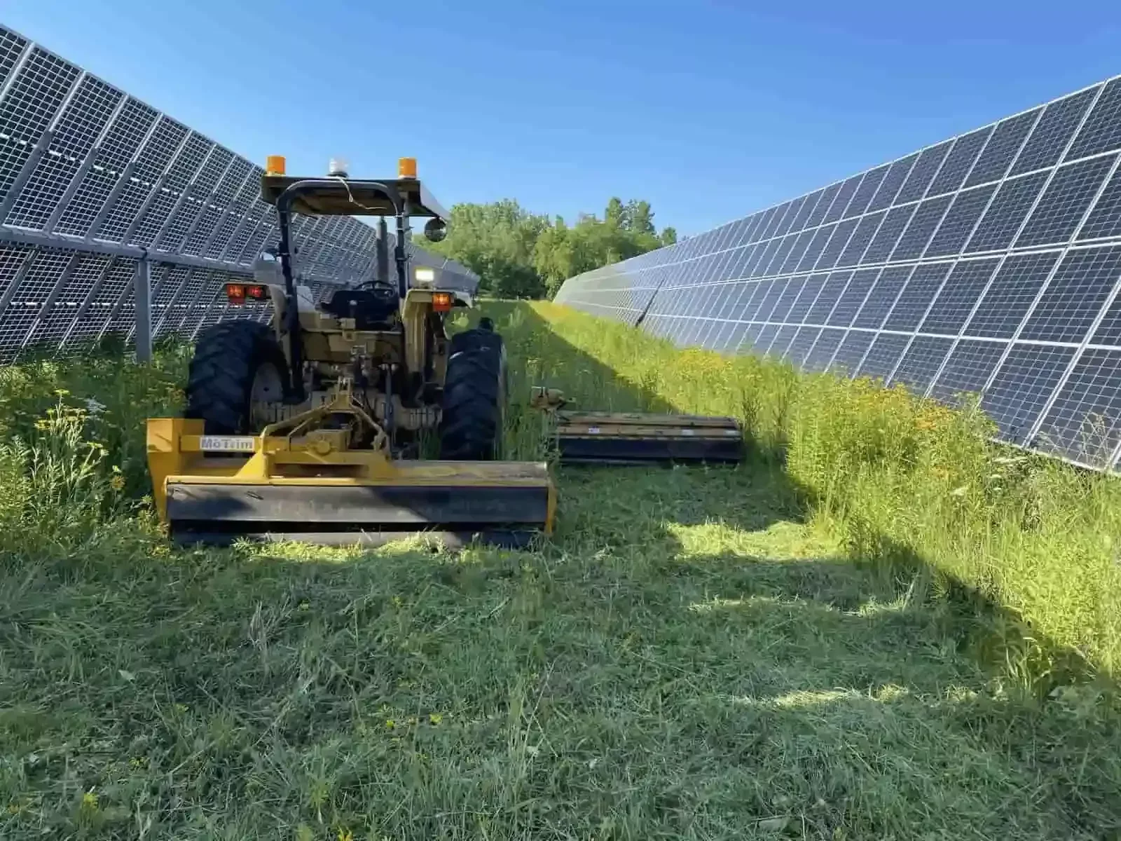 Owner Mindset crew clearing vegetation between solar panel rows to prevent shading
