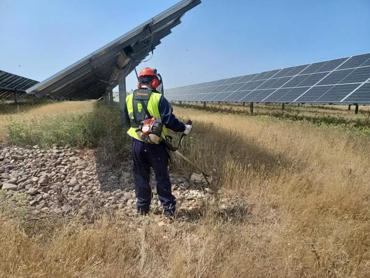 Solar technician performing scheduled inverter maintenance
